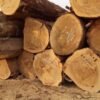 Ekop Naga Timber Exporter