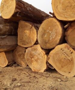 Ekop Naga Timber Exporter