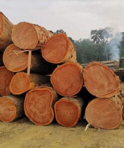 Iroko Logs Exporter