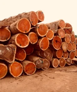 Padauk Hardwood Logs Supplier