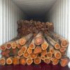 Teak Wood exporter