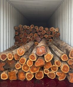 Teak Wood exporter